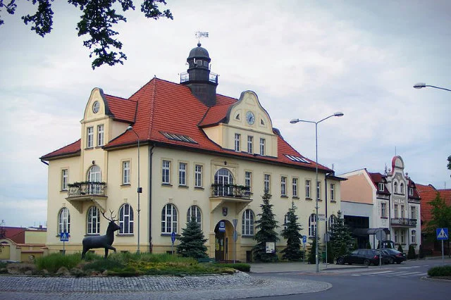 Ratusz ze sławnym jeleniem