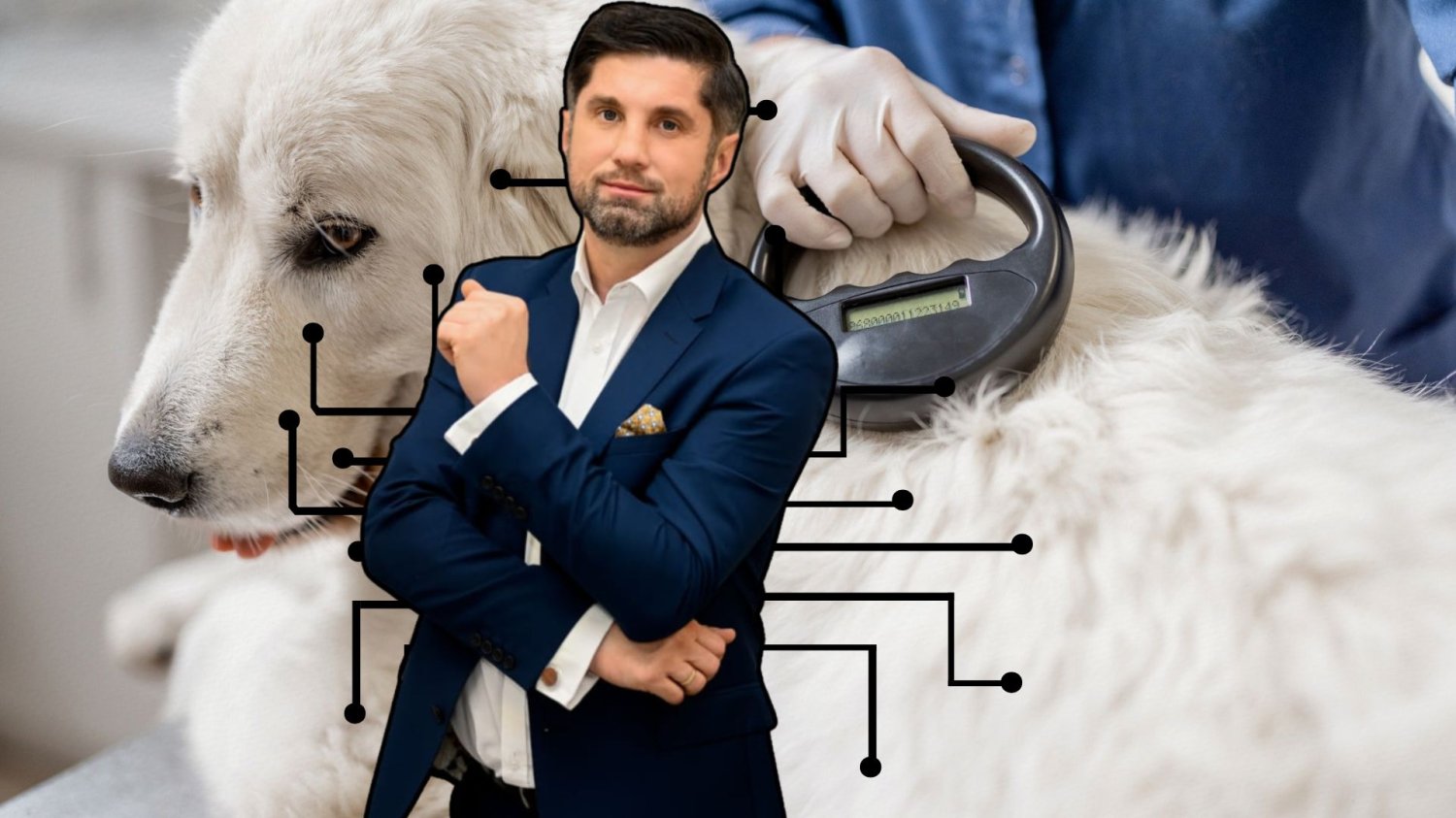 Sebastian Przeniosło z Farm Innovations, w tle odczytywanie czipu z psa. Farm Innovations wchodzi na rynek czipów dla domowych zwierząt.