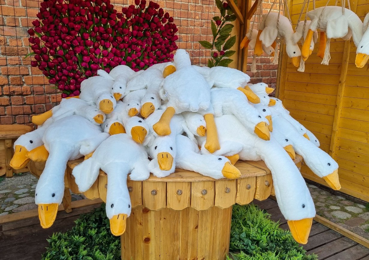 Gęś pipa nie będzie już najpopularniejszą maskotką nad Polskim morzem w 2024