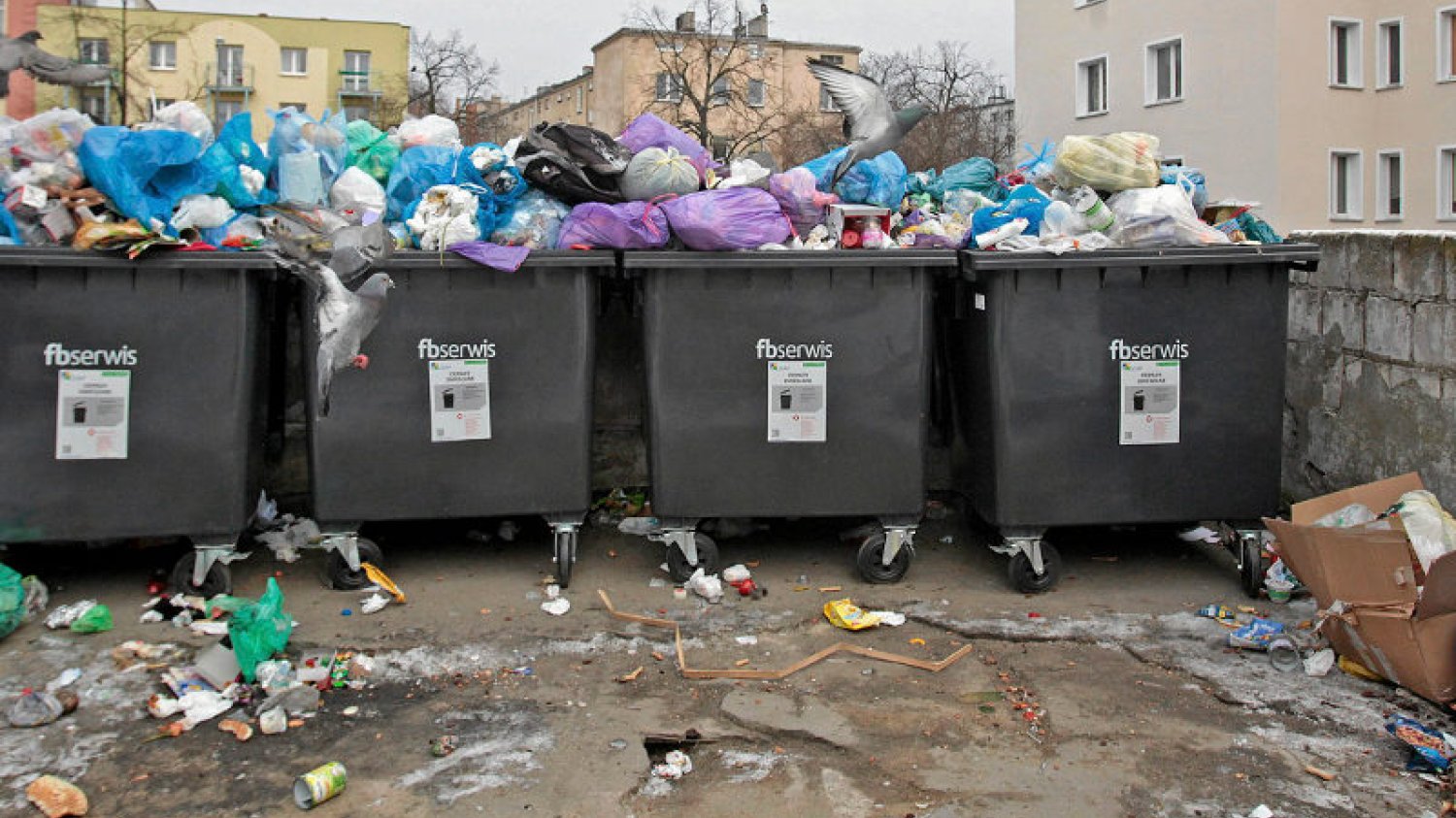 W Polsce nie opłaca sie przerabiac śmieci