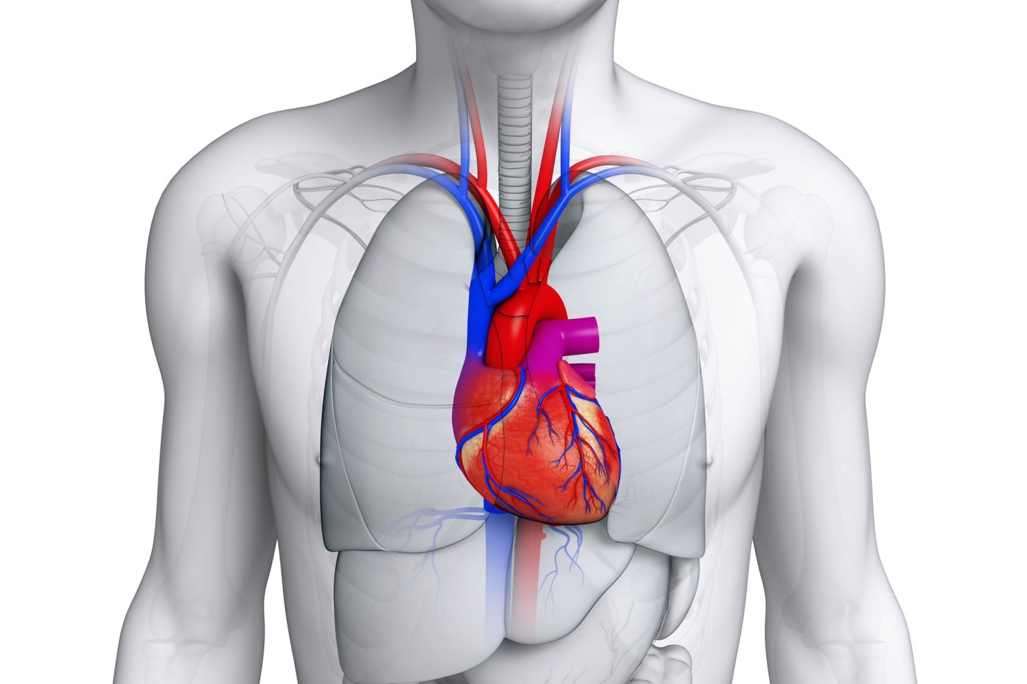 SMU będzie brał udział w projekcie finansowanym z programu Horyzont 2020