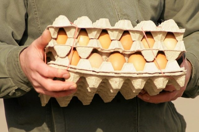 Polscy producenci jaj obawiają się o swoje biznesy. Silny konkurent z Ukrainy zwiększa swoje inwestycje na Łotwie.