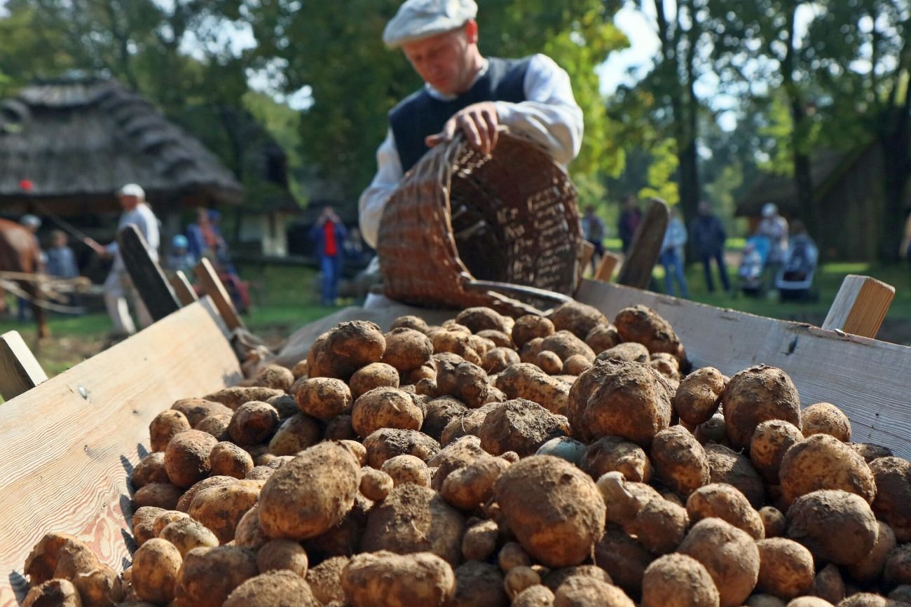 W Polsce produkuje się coraz więcej żywności ekologicznej