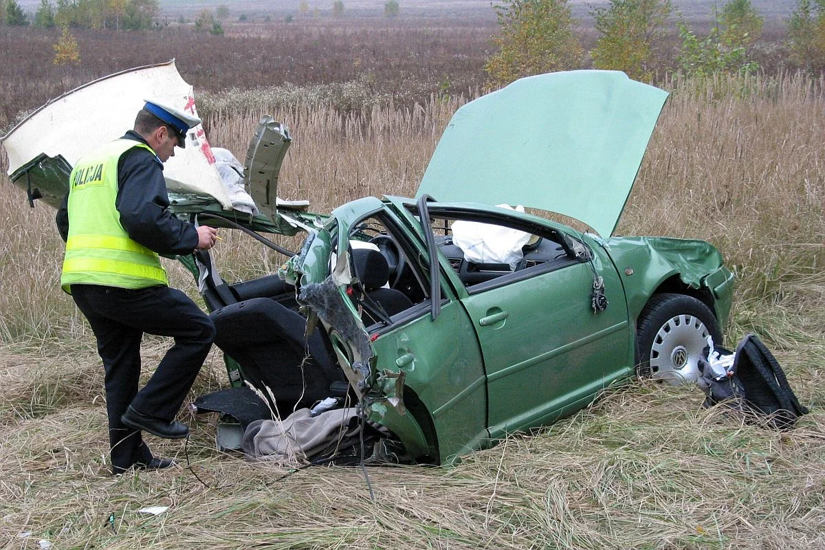 W Polsce ciągle dochodzi do wypadków z udziałem dzikich zwierząt. Na zdjęciu auto po kolizji z łosiem.