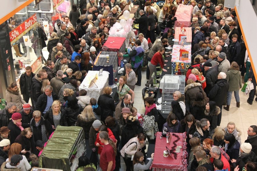 Niech zakaszą rękawy i znajdą inną pracę - radzi posłanka Barbara Dziuk tym, którzy mogą stracić pracę w wyniku zakazu handlu w niedzielę.
