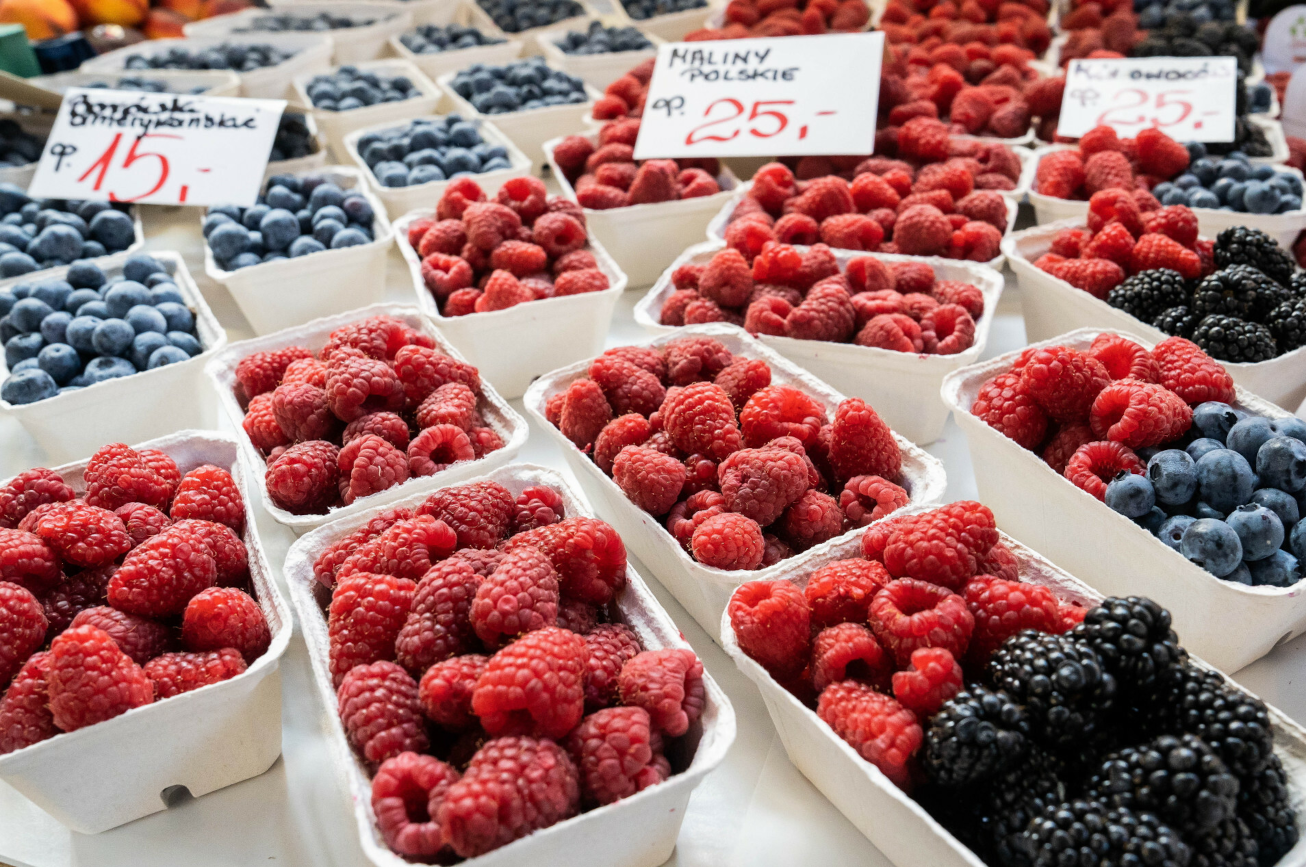 Plantatorzy skarżą się na zatrważająco niskie ceny skupu malin w 2024 roku. Wskazują na przyczyny
