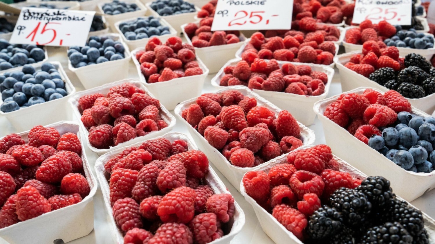 Plantatorzy skarżą się na zatrważająco niskie ceny skupu malin w 2024 roku. Wskazują na przyczyny