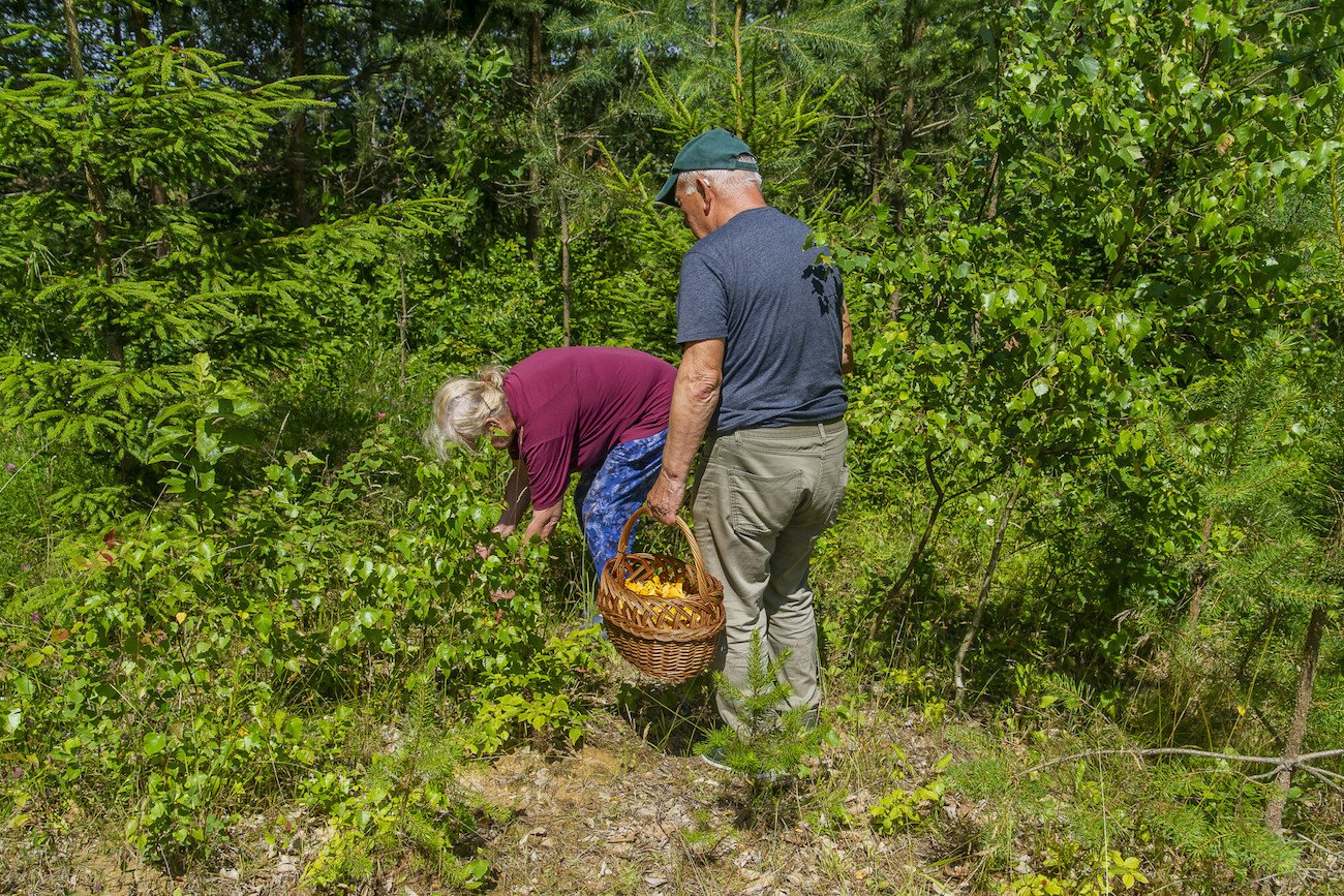ZUS obniży limit dorabiania do emerytury
