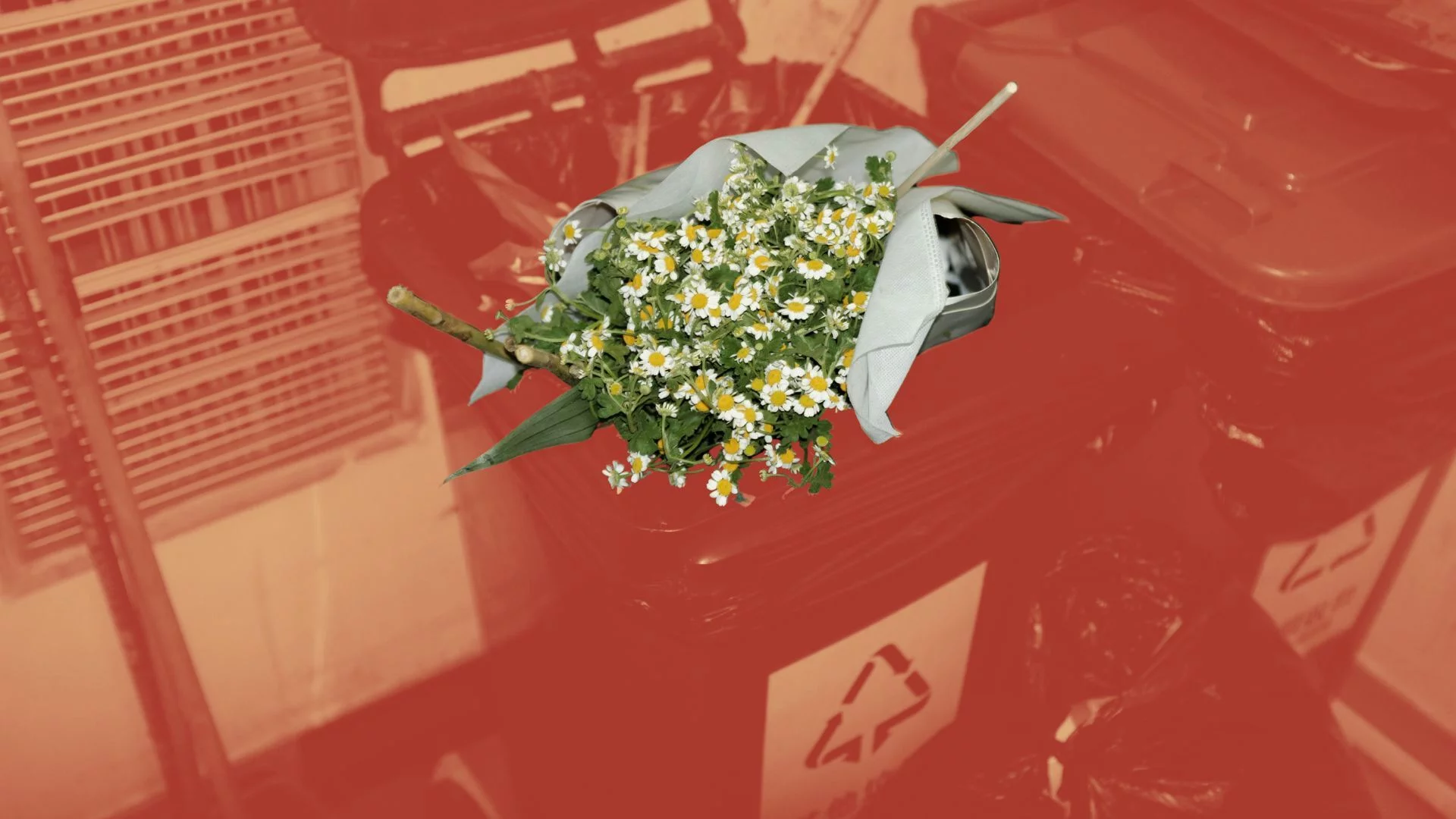 Nauczycielka nie chce kwiatów i czekoladek. "Wolałabym godnie zarabiać"