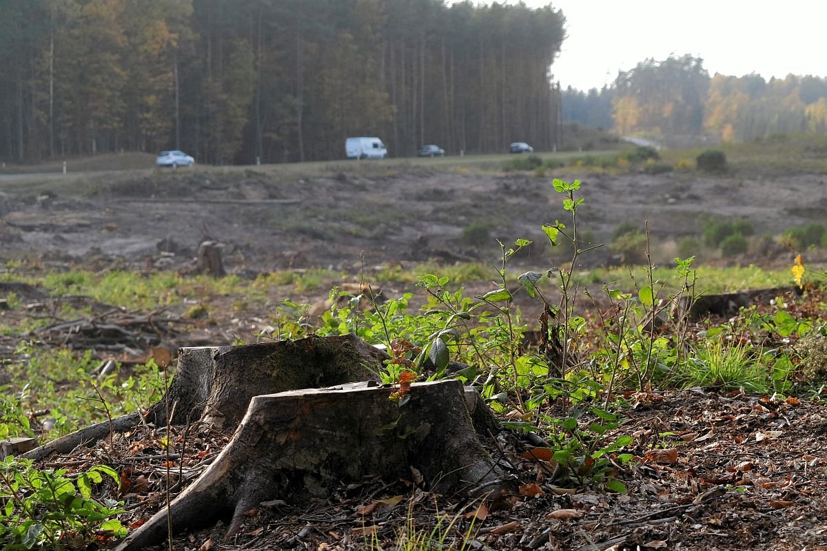 Rząd planuje budowę setki obwodnic, ale nie zaplanował wydawania na nie pieniędzy