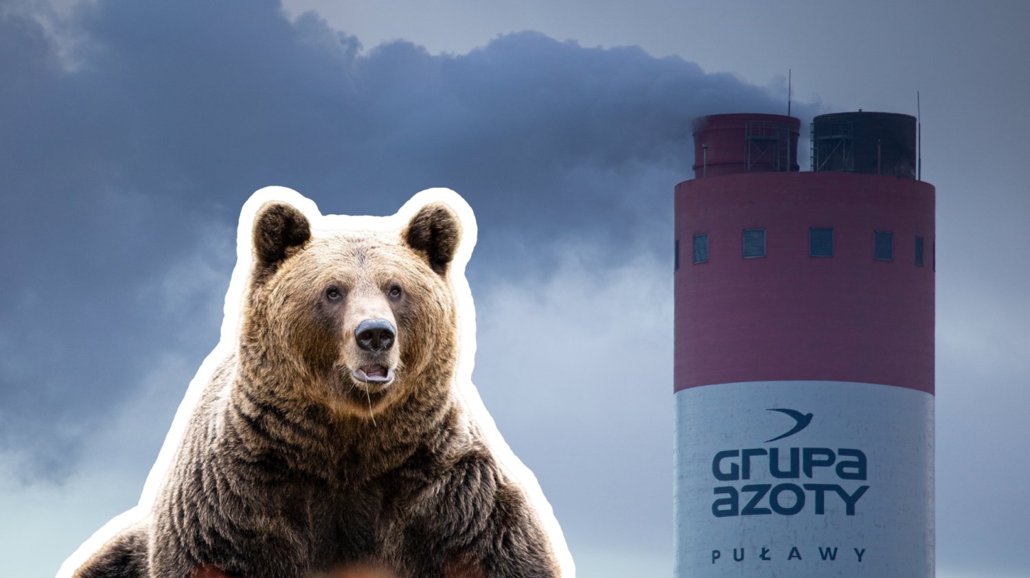 Grupa Azoty inwestycyjnym hitem. W tle wydarzenia, które powinny zaprosić na wyżerkę niedźwiedzie Komin Grupy Azoty i niedźwiedź