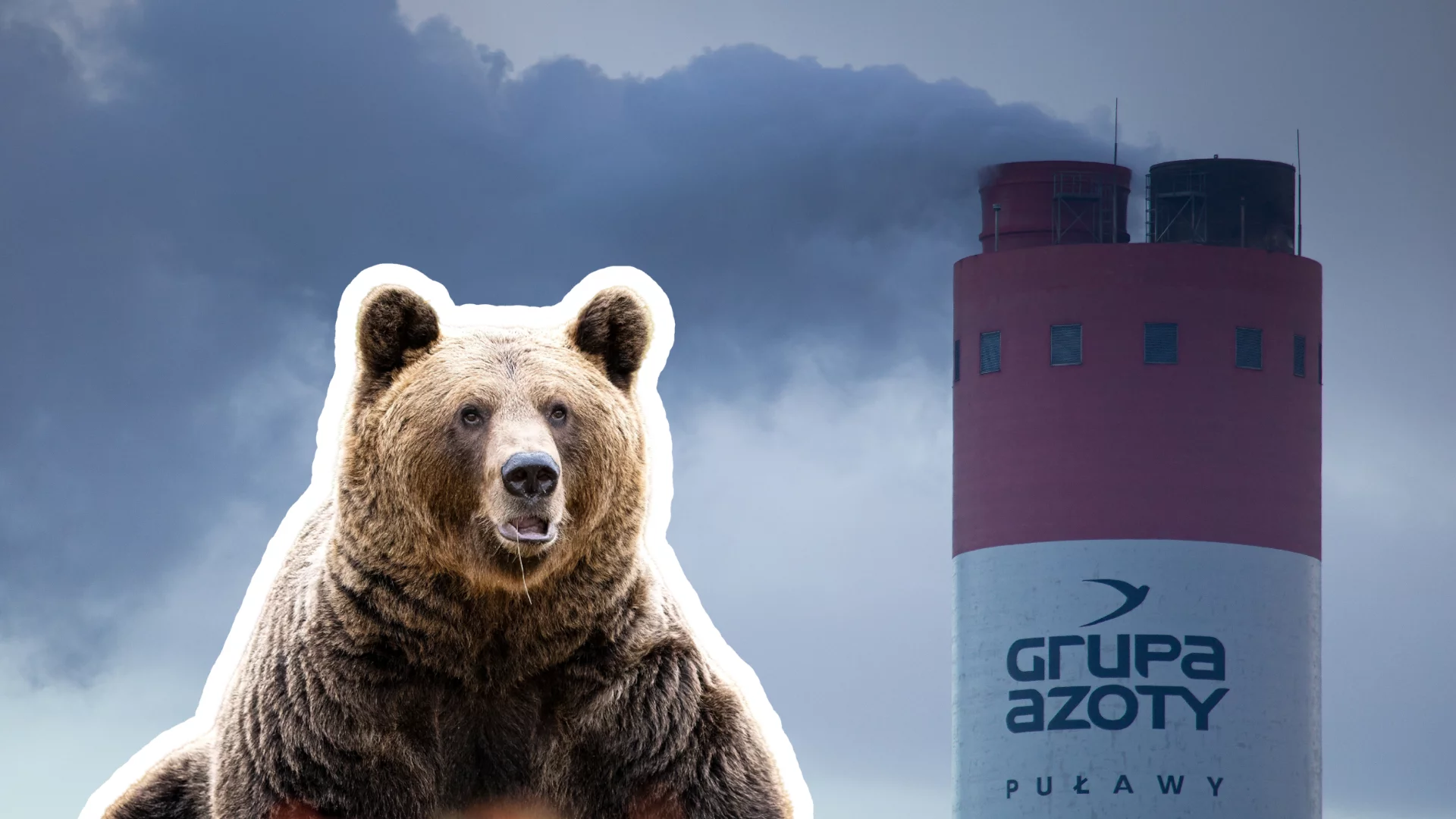 Grupa Azoty inwestycyjnym hitem. W tle wydarzenia, które powinny zaprosić na wyżerkę niedźwiedzie