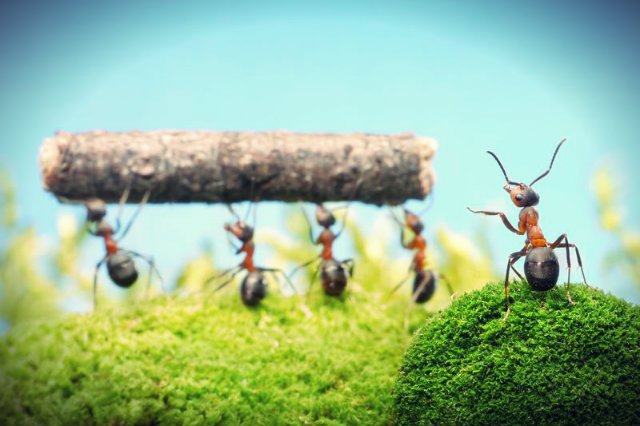 Z polskiego rynku pracy czasem można się pośmiać, a czasem - zwyczajnie wkurza.