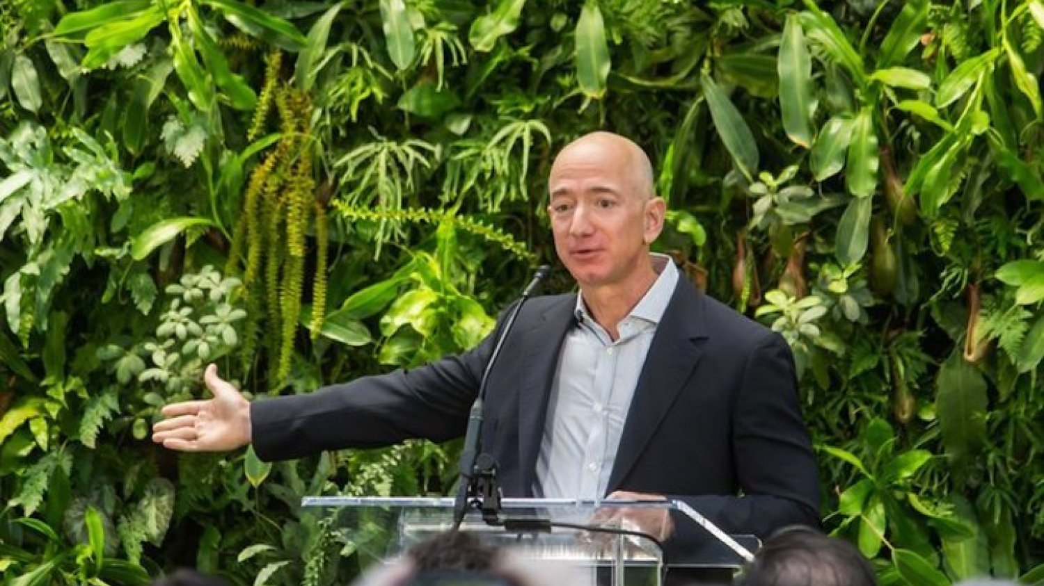 Amazon pracuje nad szczepionką na przeziębienie.