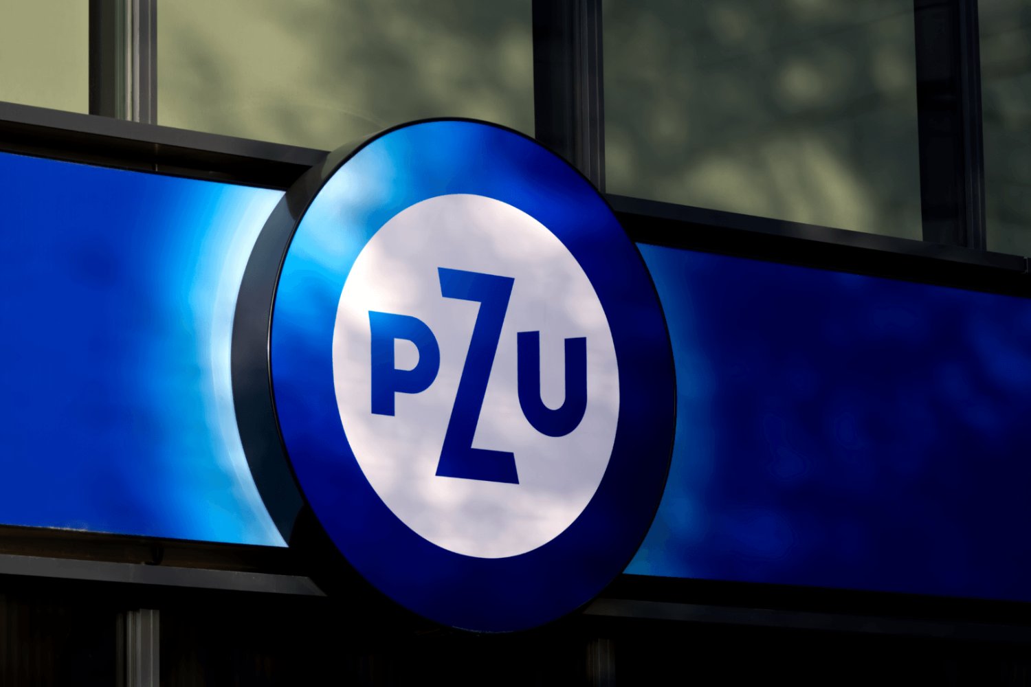 budynek pzu