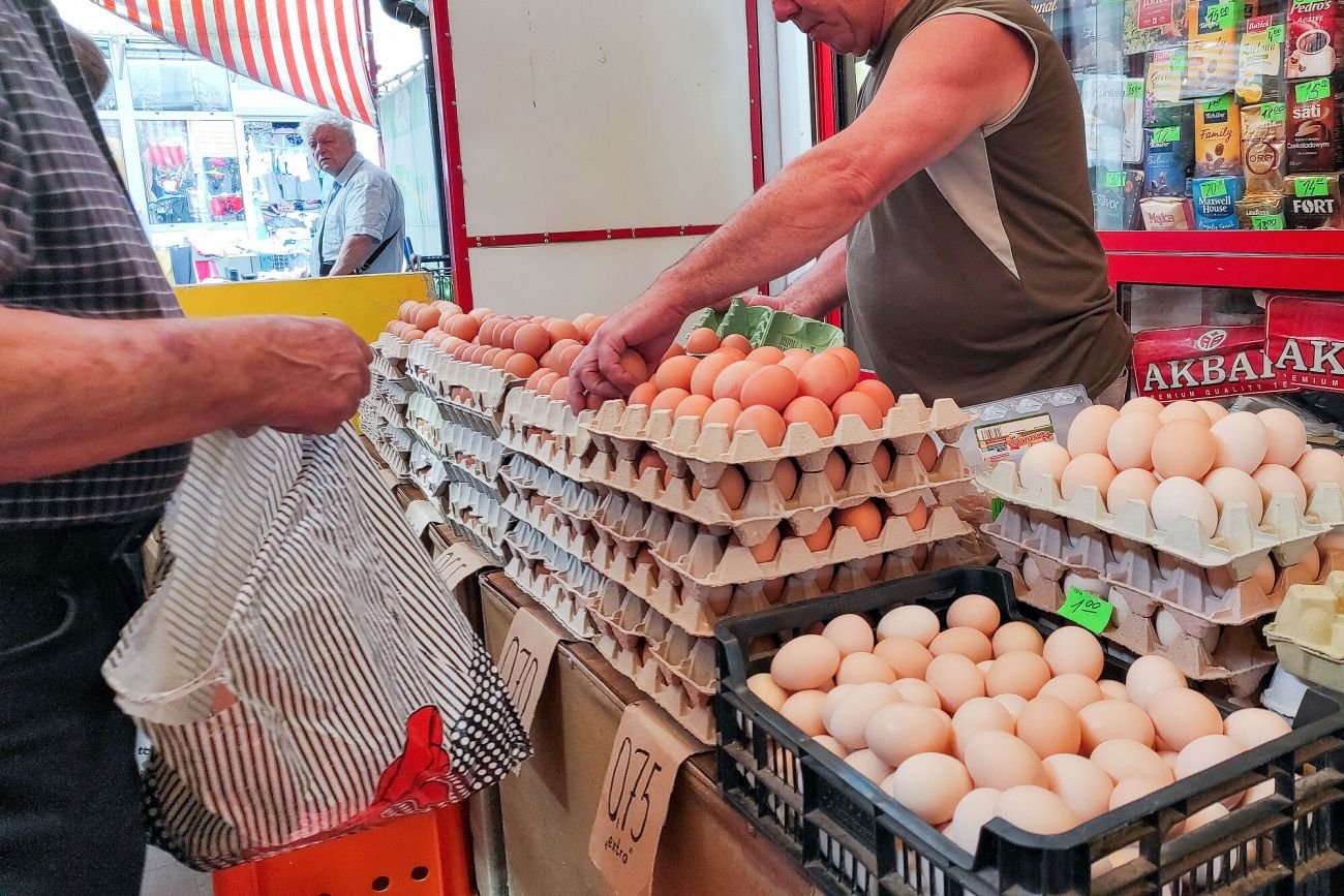 Jaja staną się rarytasem - ostrzegają hodowcy kur