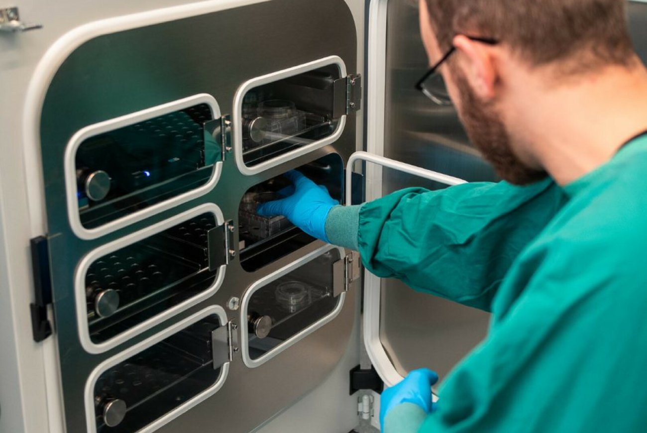 Naukowcy z sukcesem uruchomili komputer złożony z 16 hodowanych mini-mózgów.