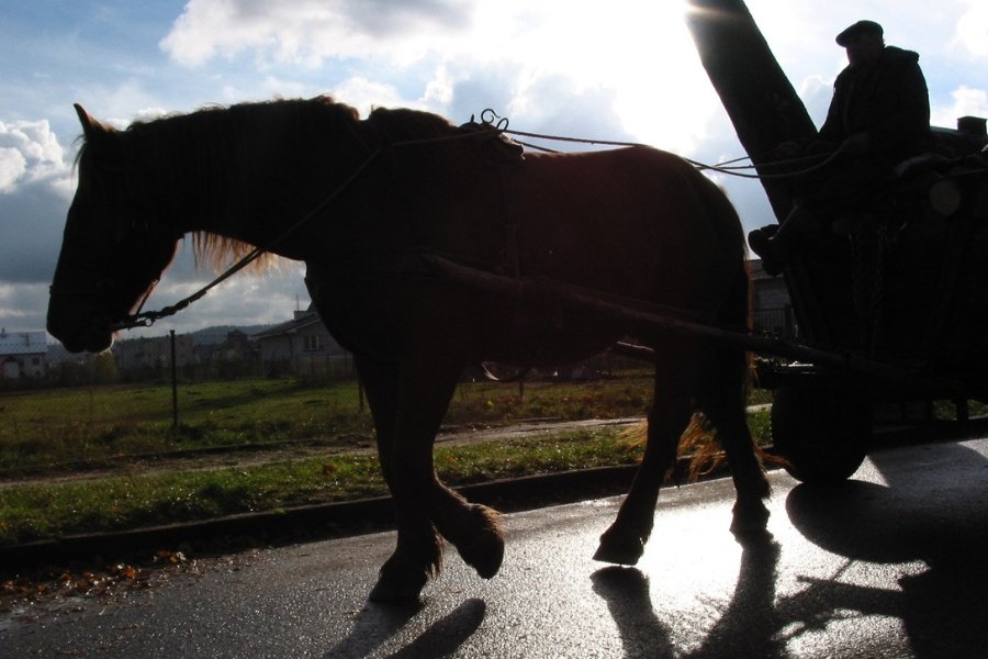 Różnic w rozwoju między Polską A i B nie da się zasypać pieniędzmi. Potrzebne są zmiany mentalne.