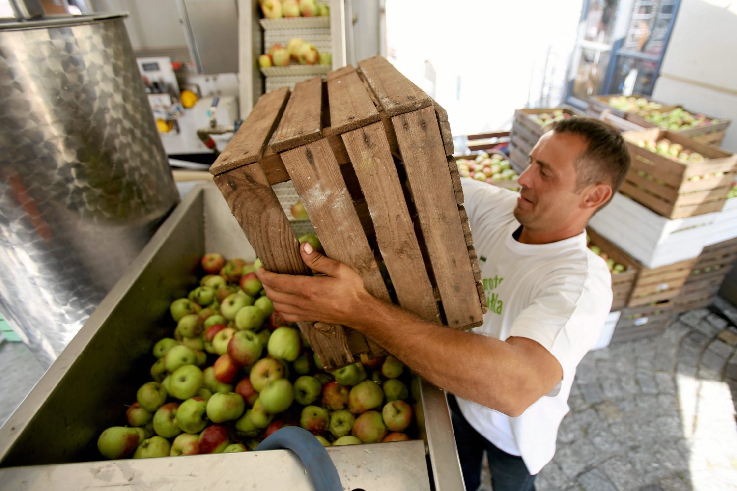 Białorusini przewozili do Rosji nielegalnie polskie jabłka