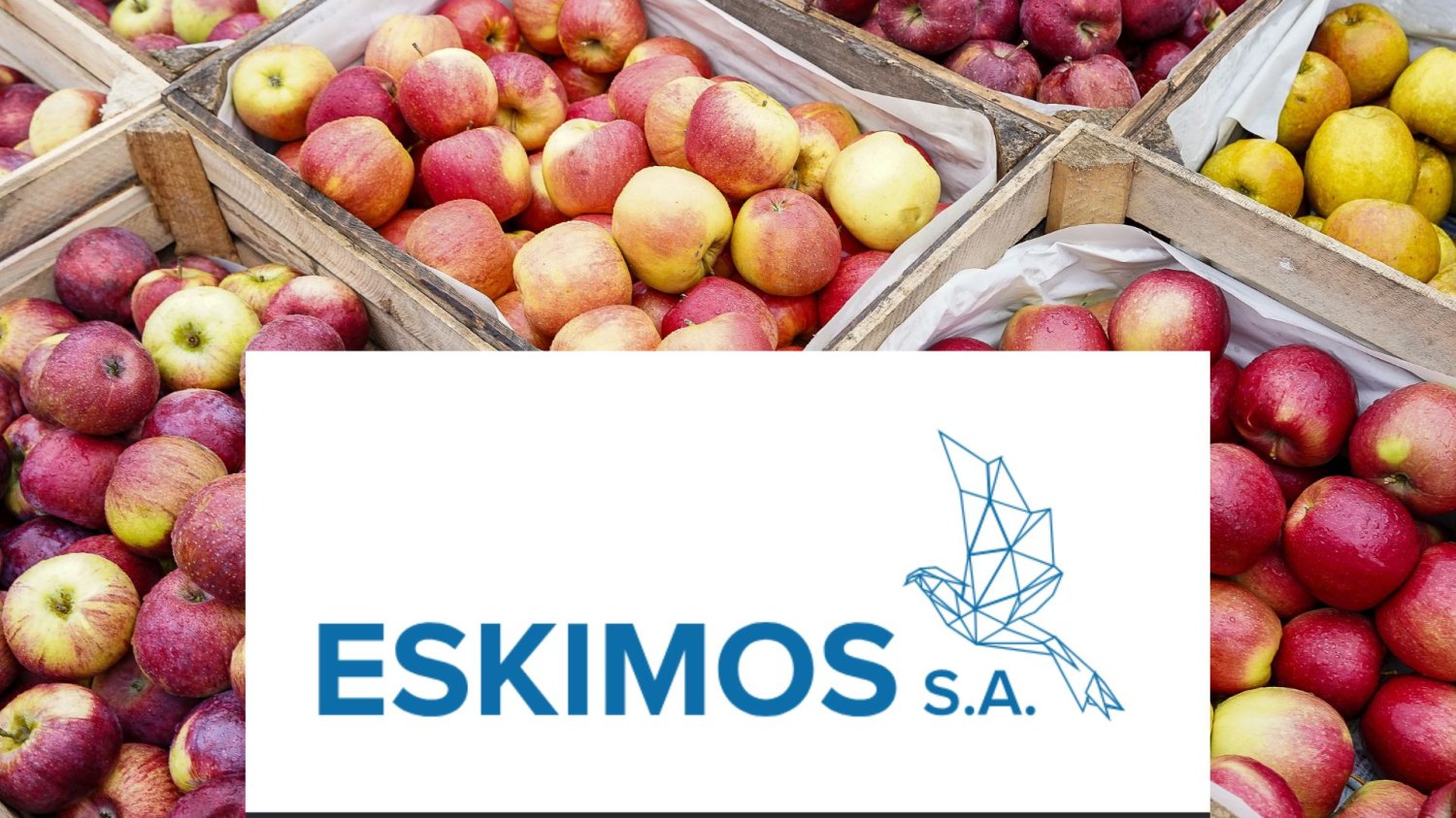 Producent mrożonek Eskimos ogłosił upadłość. W tle przebrzmiewa jabłkowa afera Logo Eskimos i jabłka. Firma znalazła się w centrum afery z 2018 roku o interwencyjny skup jabłek.