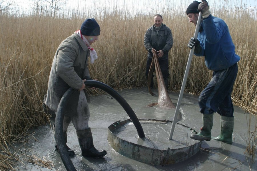 Nielegalne płukanie bursztynu w okolicach Gdańska.