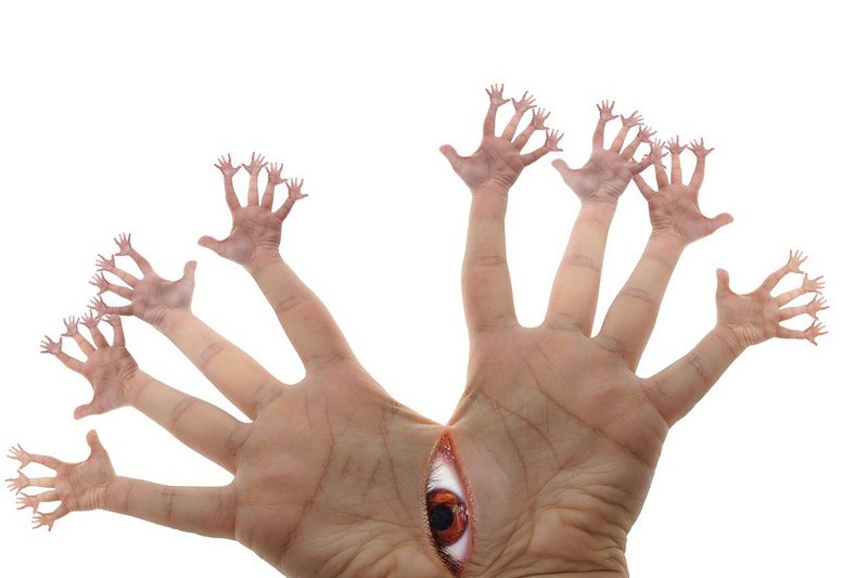 Obserwując bakterie naukowcy wiele dowiedzieli się o ludzkiej naturze.