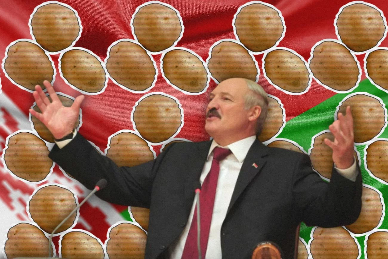 Alaksandr Łukaszenka na tle ziemniaków i białoruskiej flagi.