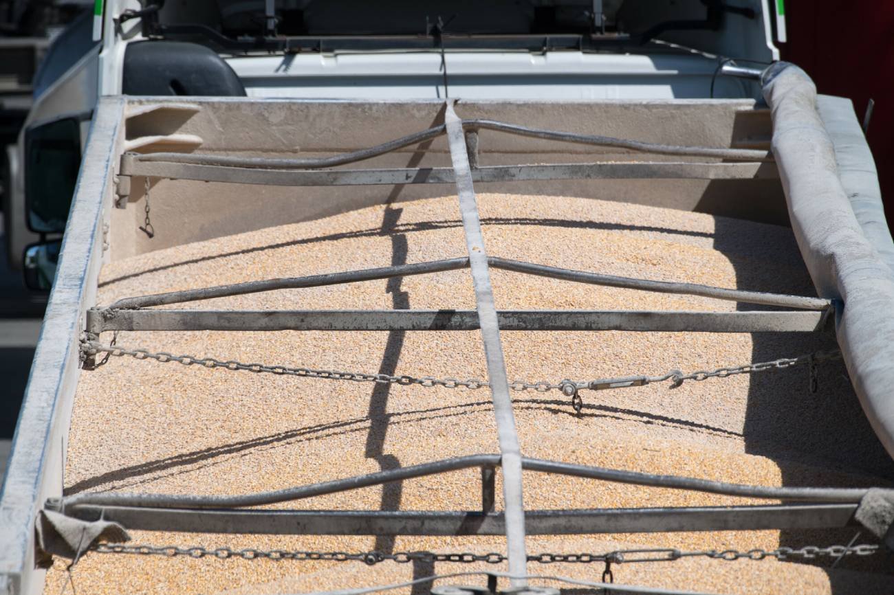 Nieoficjalną informację podał Robert Telus.