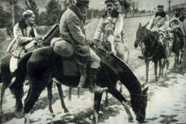 Wojewoda podlaski odmówił wypłaty odszkodowania za konia, który w 1939 roku został przejęty przez wojsko na cele obronne