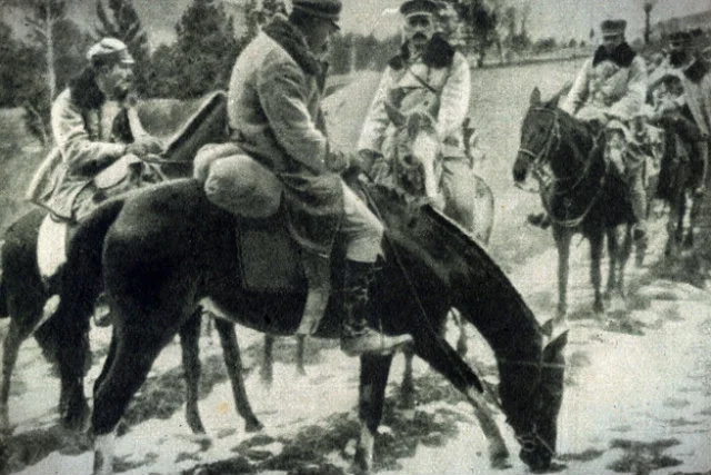 Wojewoda podlaski odmówił wypłaty odszkodowania za konia, który w 1939 roku został przejęty przez wojsko na cele obronne