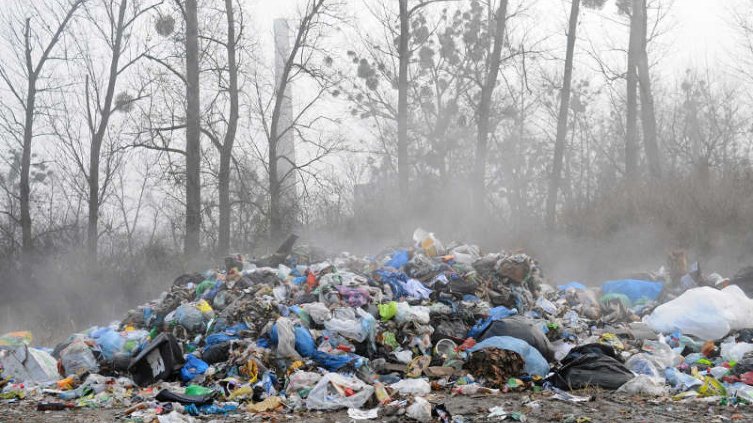 Polscy naukowcy opracowali nowatorską metodę utylizacji śmieci. Państwu grożą kary za brak recyklingu