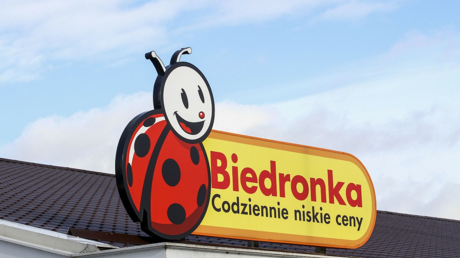 Ile można zarobić w Biedronce?