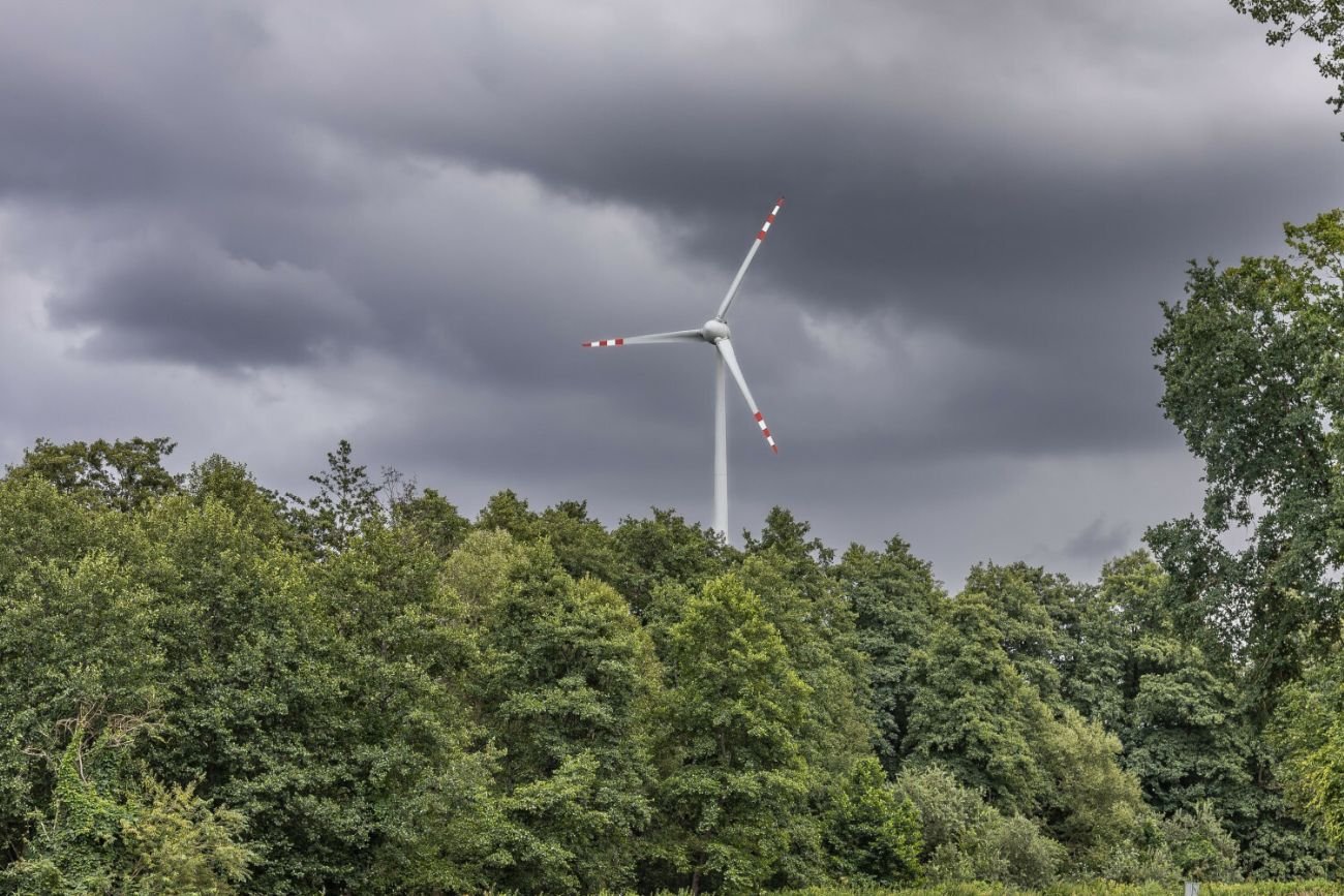 "Turbiny wiatrowe są coraz częściej instalowane w lasach, co może prowadzić do konfliktów między wysiłkami na rzecz łagodzenia zmiany klimatu a ochroną przyrody."