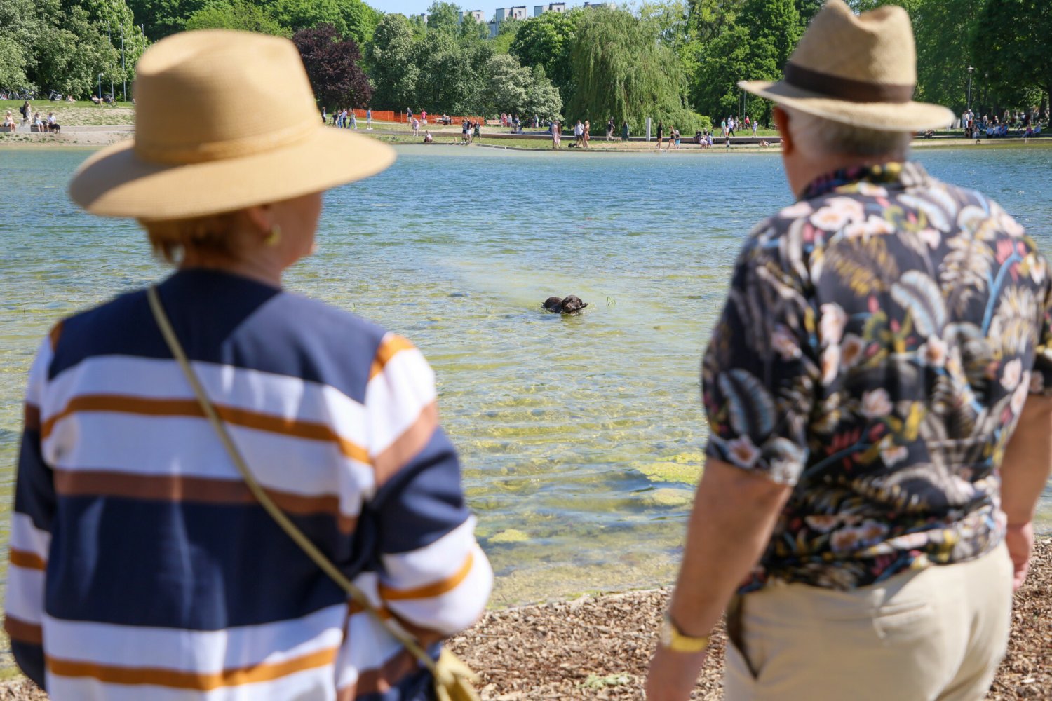 Specjalny dodatek emerytalny – kiedy wypłata pieniędzy