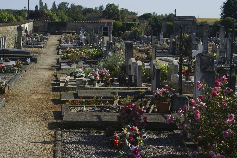 Choć dla wielu śmierć to temat tabu, są przedsiębiorcy, którzy nie boją się wprowadzać nowych rozwiązań w branży funeralnej