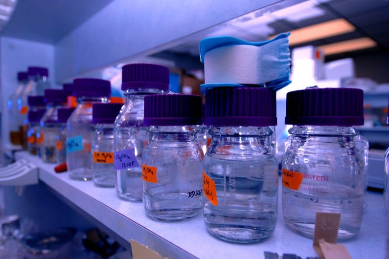 Polak został szefem kanadyjskiej firmy tworzącej nowe leki onkologiczne.