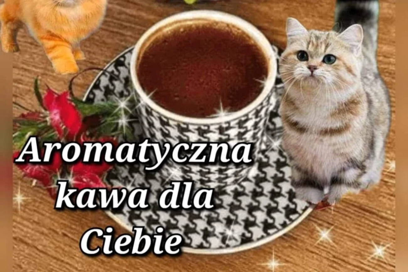 Filiżanka kawy, kotek, kwiaty. Bez tych elementów nie ma dobrej kartki z życzeniami.