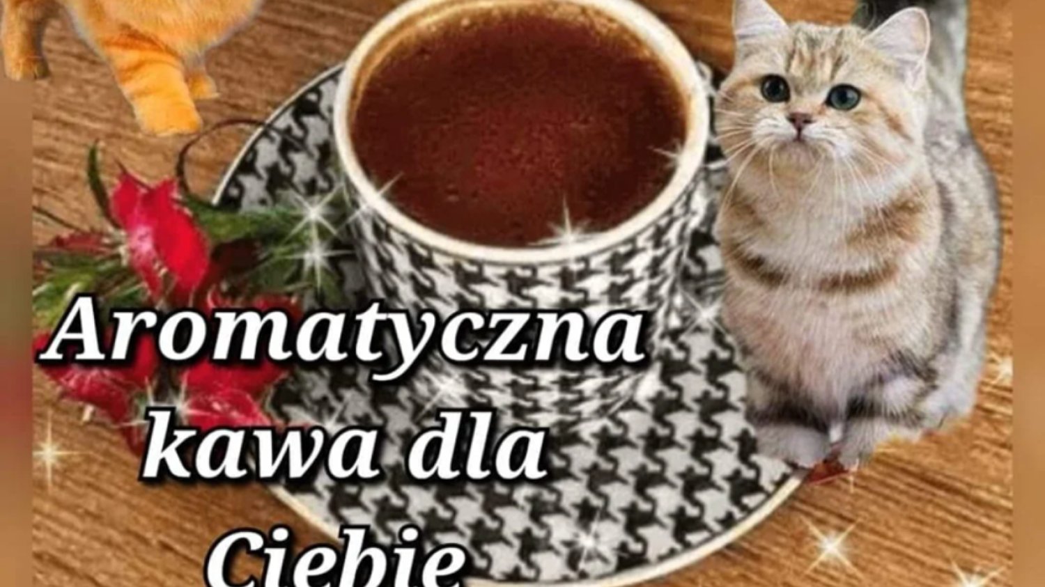 Filiżanka kawy, kotek, kwiaty. Bez tych elementów nie ma dobrej kartki z życzeniami.