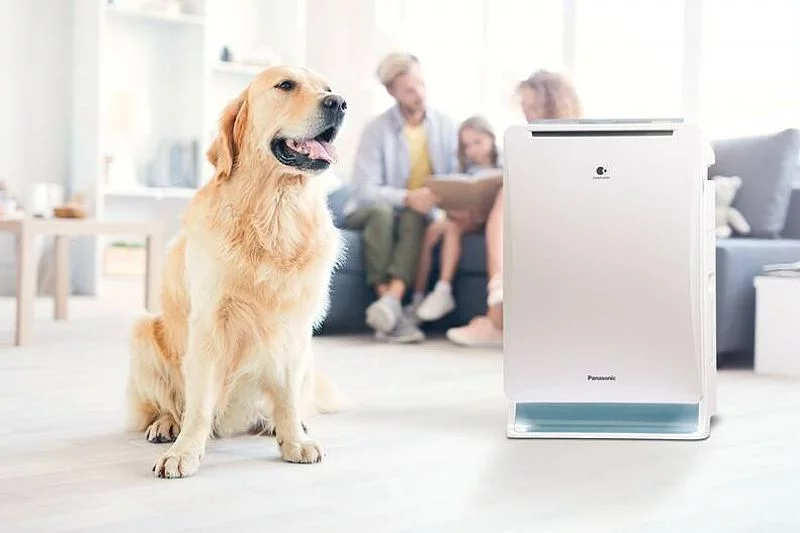 Opatentowana przez Panasonic technologia nanoe to gratka dla alergików.