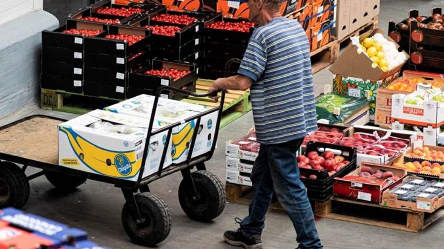 Ogromne dzisiejsze zapotrzebowanie na magazynierów czy pracowników produkcji w ciągu kolejnych lat mocno spadnie. Winna będzie temu automatyzacja.