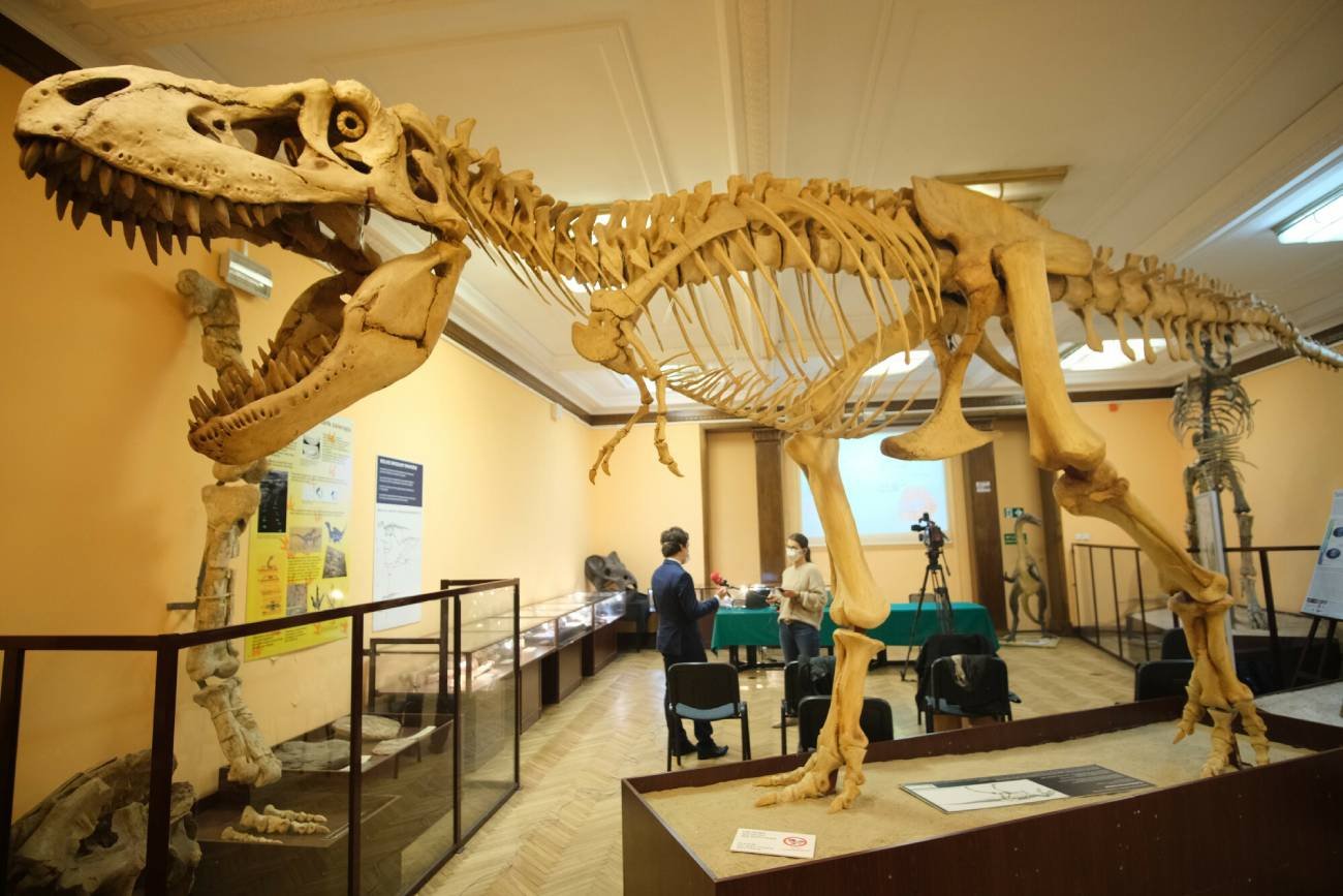 dinozaur w Muzeum Ewolucji Instytutu Paleobiologi w Warszawie