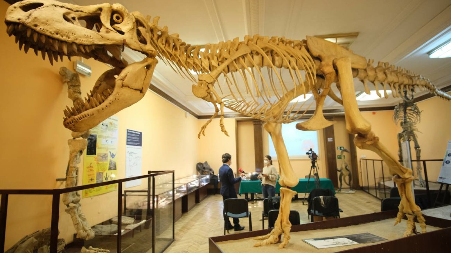 dinozaur w Muzeum Ewolucji Instytutu Paleobiologi w Warszawie