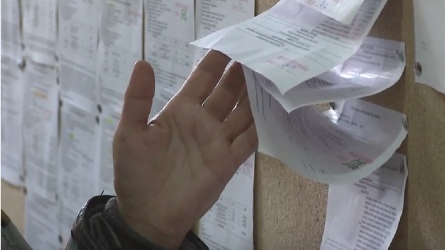 W lipcu padł rekord zgłoszeń ofert od przedsiębiorców poszukujących pracowników m.in. przez Urzędy Pracy
