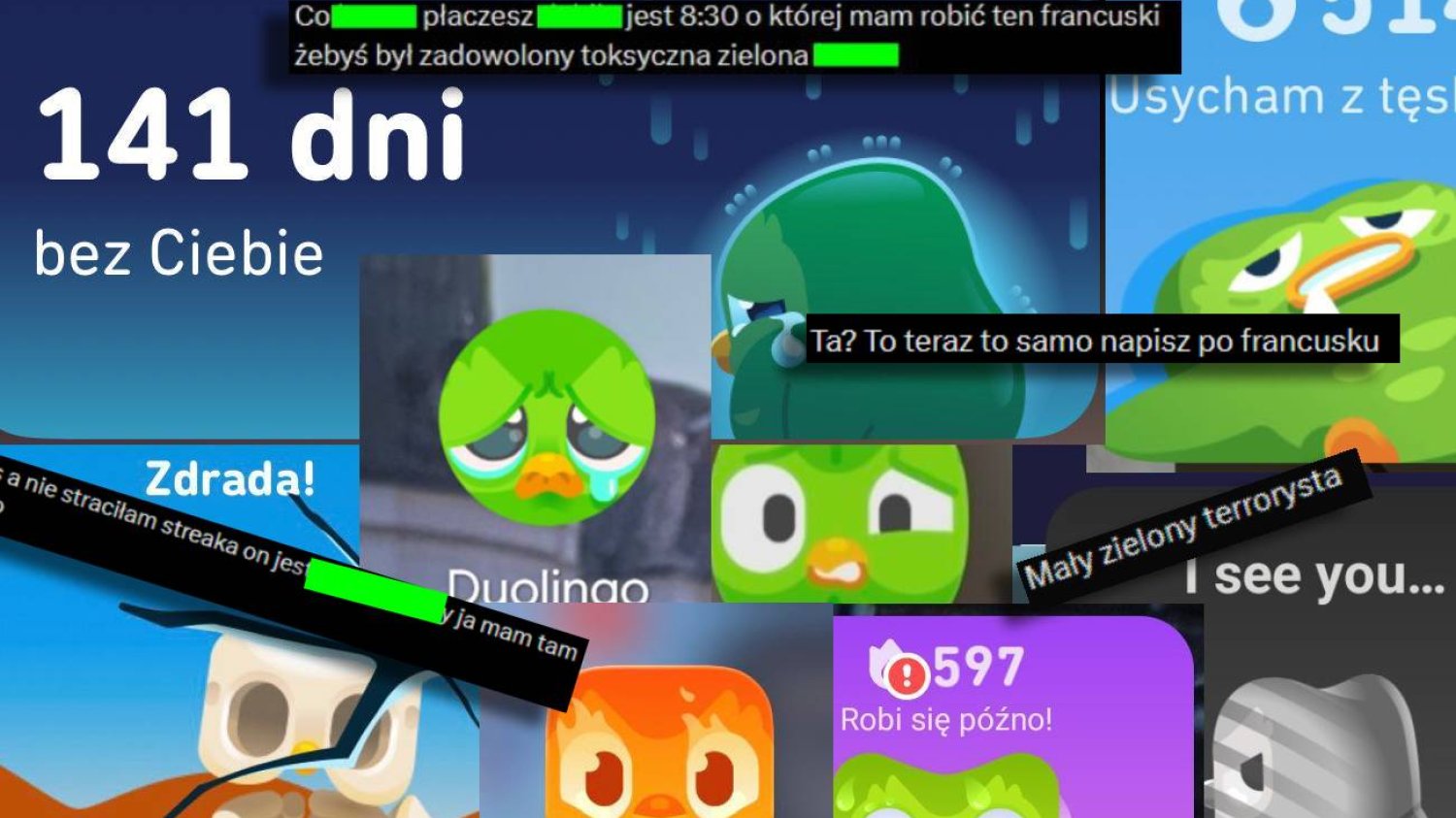 Duolingo znowu rozsierdza użytkowników. Polacy nienawidzą tej sowy Sówka - symbol Duolingo – w różnych smutnych i wkurzonych pozach.