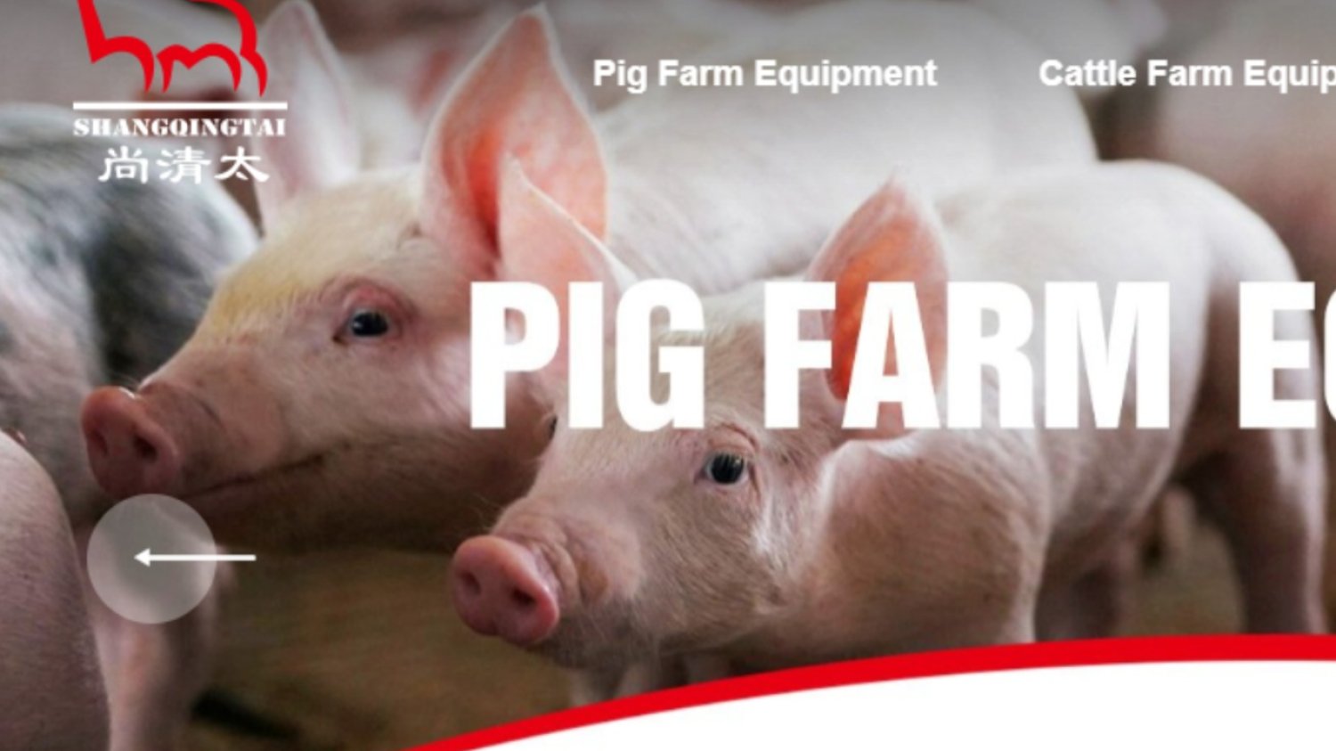 Strona internetowa pigfarmequipments.com, świnia, logo.
