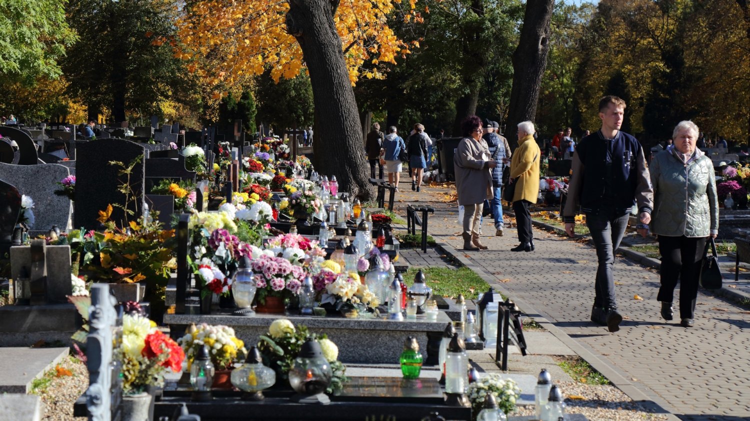 Cmentarz i ludzie w alejkach. Święto Wszystkich Świętych.