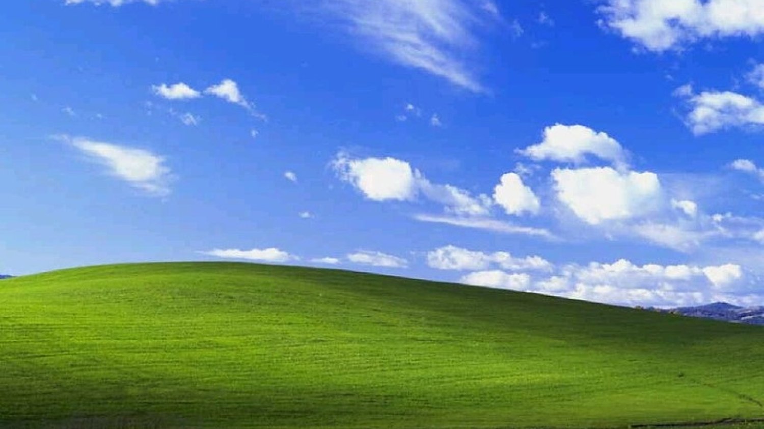 Tapeta z łąką z Windowsa XP.