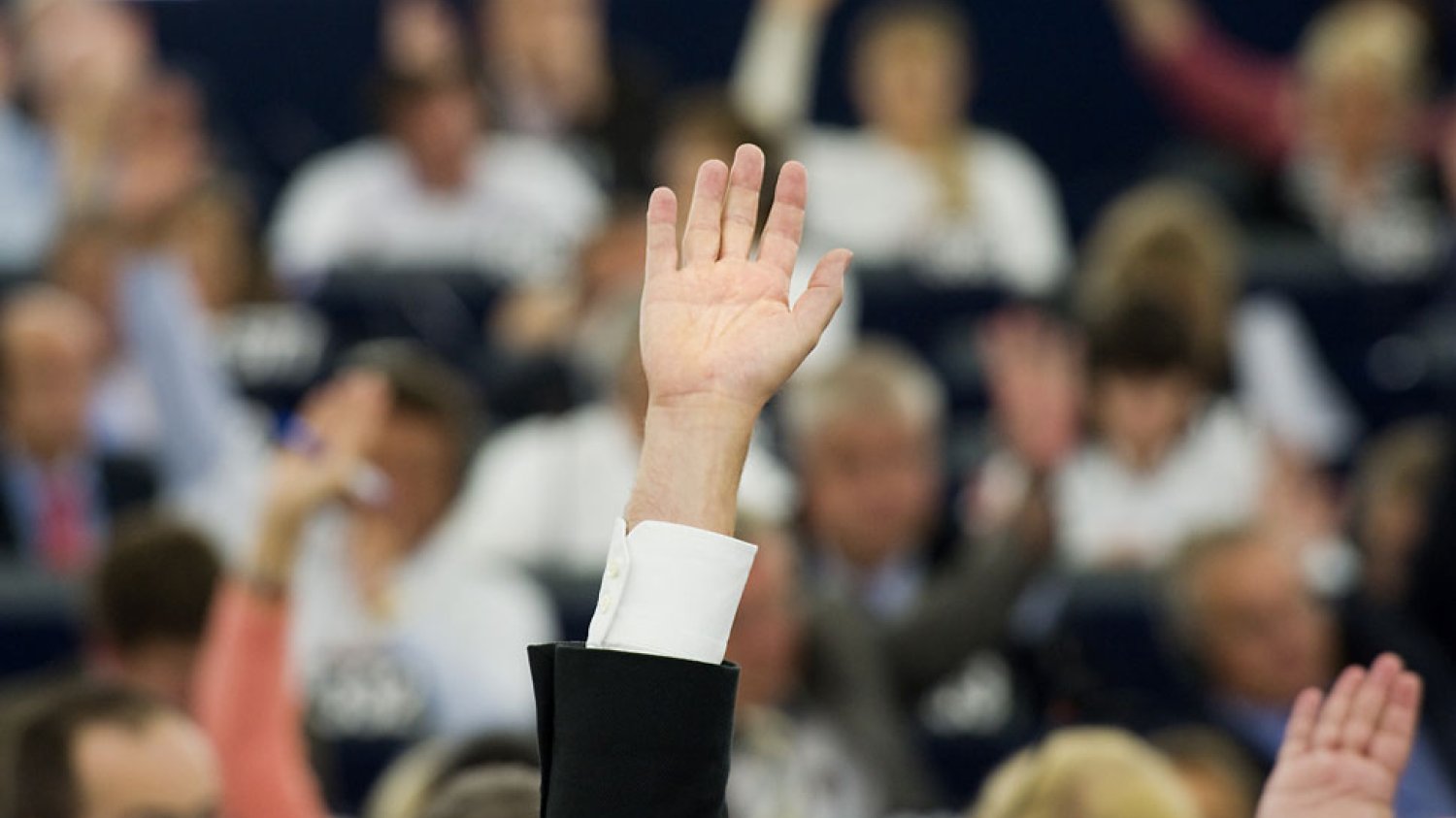 Fot. European Parliament/Flickr