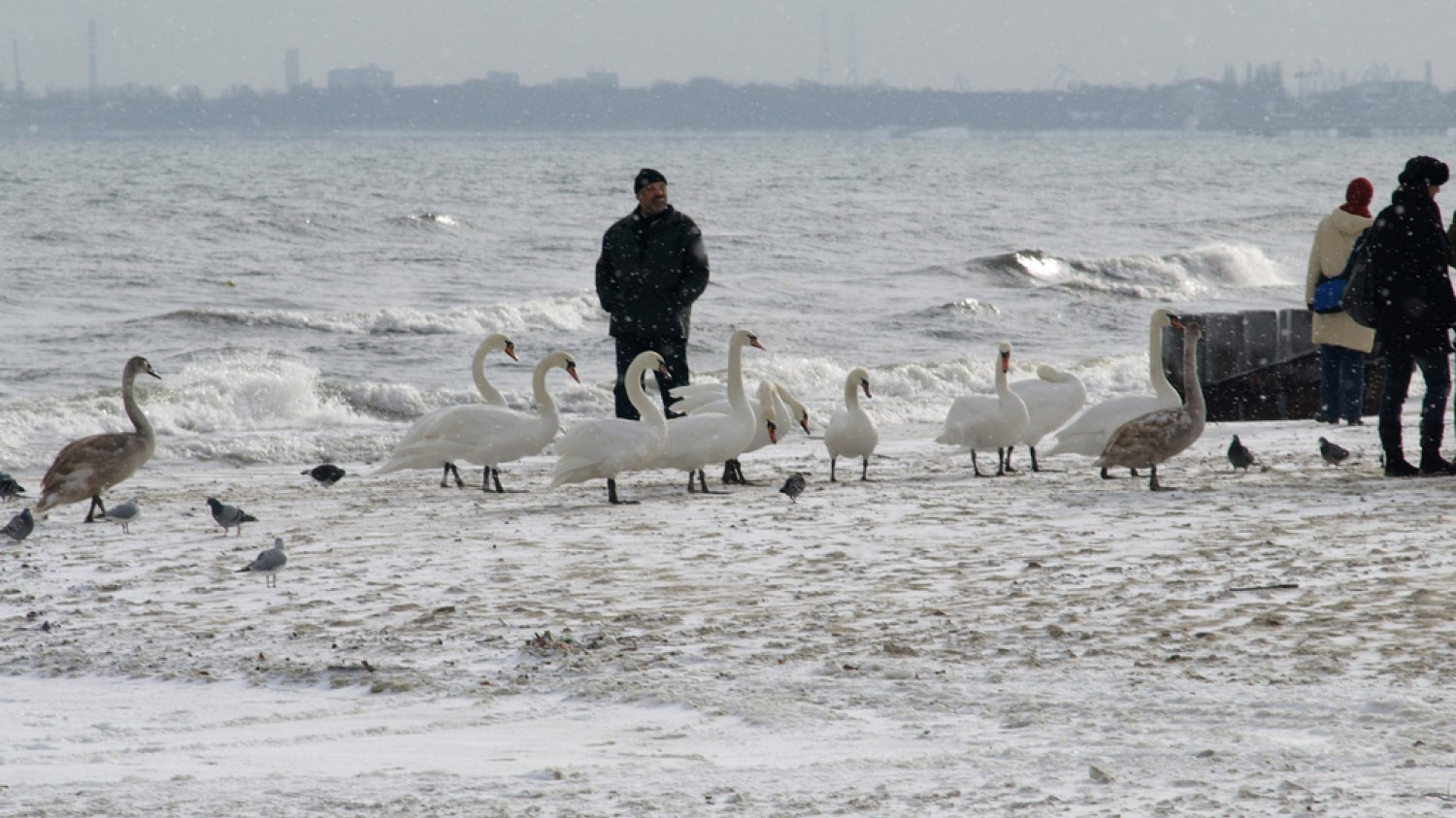 Sopot, plaża, fot. Tomasz Przechlewski / Flickr, CC BY