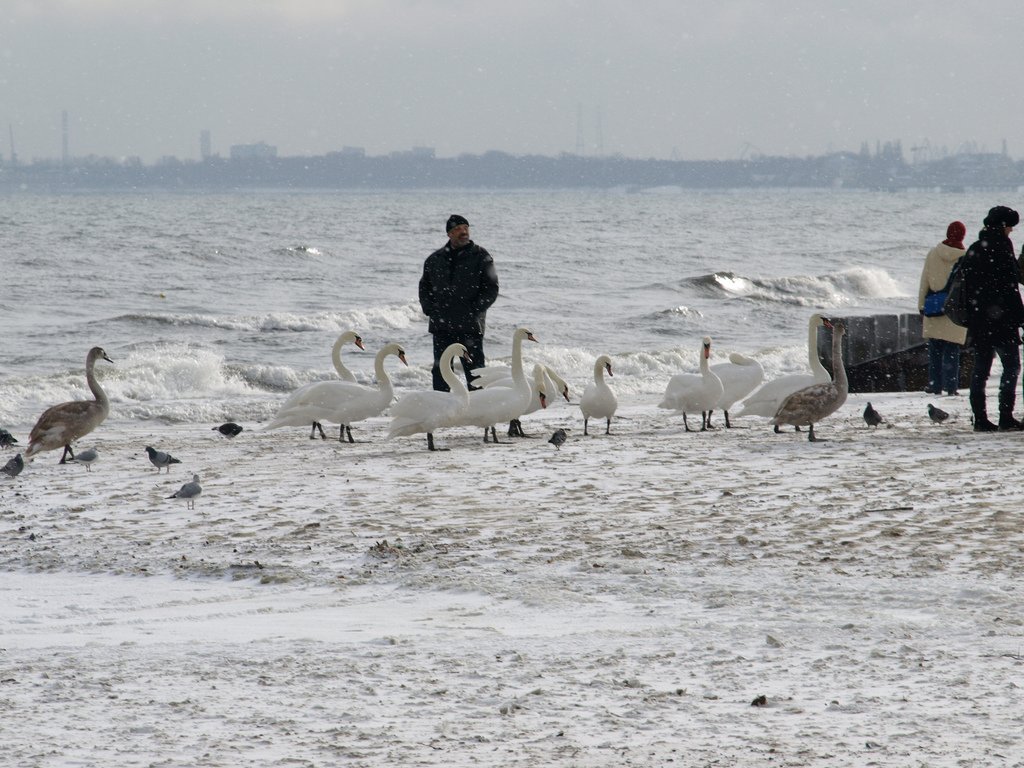 Sopot, plaża, fot. Tomasz Przechlewski / Flickr, CC BY